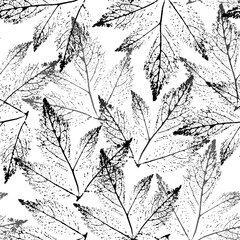 Seamless pattern with silhouettes of black and gray transparent skeletonized tree leaves on a white background. A natural fall pattern.