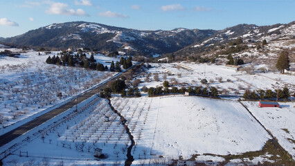 Rare Winter snows cover the vineyards around Julian, southern California.