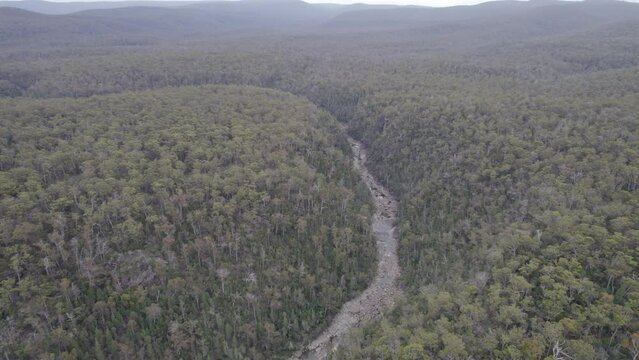 Dry Riverbed Through Dense Forest Of Apsley Gorge National Park In Douglas-Apsley, Tasmania. aerial