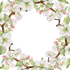 Hand drawn watercolor apple flowers, branches and leaves, white, pink and green blossom. Circle round wreath. Isolated on white background. Design for wall art, wedding, print, fabric, cover, card.