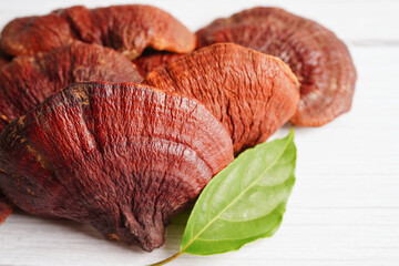 Lingzhi or Reishi mushroom with capsules, organic natural healthy food.