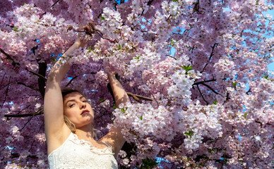 sensual seductive young sexy blonde woman portrait in white dress surrounded by delicate soft pink japanese cherry flower blossoms