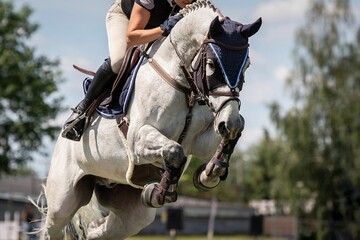 Fototapeta na wymiar Horse Jumping, Equestrian Sports, Show Jumping themed photo.