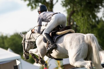 Horse Jumping, Equestrian Sports, Show Jumping themed photo.