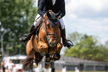 Naklejka premium Horse Jumping, Equestrian Sports, Show Jumping themed photo.