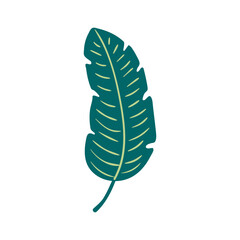Tropical plant spathiphyllum leaf hand drawn illustration. Cartoon style flat design, isolated vector. Summer print, seasonal element, holidays, vacations, beach, jungle flora, exotic foliage