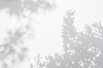 Leaf shadow and light on wall background. Nature tropical leaves tree branch and plant shade with sunlight from sunshine dappled on white wall texture for background wallpaper, shadow overlay effect