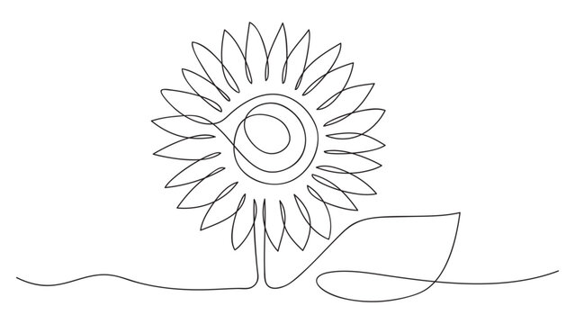 One line sunflower element. Black and white monochrome continuous single line art. Outline drawing,vector