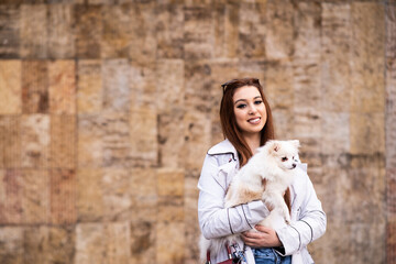 The Joy of Canine Friendship: a Portrait