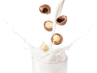 Glass of macadamia milk with milk splash and macadamia nuts isolated on white background.