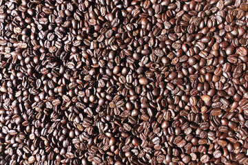 Top view of brown coffee beans, Roasted coffee beans background, Texture freshly roasted coffee beans. - 592228983