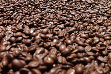 Top view of brown coffee beans, Roasted coffee beans background, Texture freshly roasted coffee beans. - 592229110