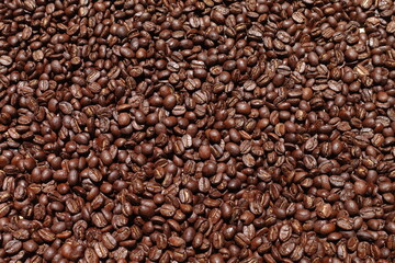 Top view of brown coffee beans, Roasted coffee beans background, Texture freshly roasted coffee beans. - 592229111