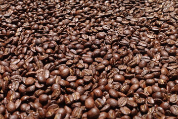 Top view of brown coffee beans, Roasted coffee beans background, Texture freshly roasted coffee beans. - 592229117