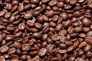 Top view of brown coffee beans, Roasted coffee beans background, Texture freshly roasted coffee beans. - 592229148