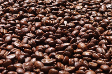 Top view of brown coffee beans, Roasted coffee beans background, Texture freshly roasted coffee beans. - 592229160