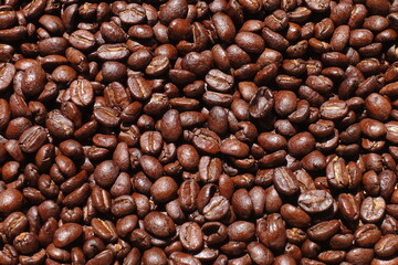 Top view of brown coffee beans, Roasted coffee beans background, Texture freshly roasted coffee beans. - 592229165