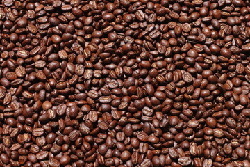 Top view of brown coffee beans, Roasted coffee beans background, Texture freshly roasted coffee beans. - 592229172