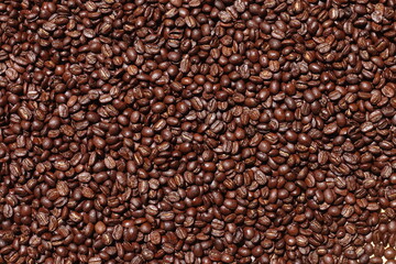 Top view of brown coffee beans, Roasted coffee beans background, Texture freshly roasted coffee beans. - 592229183