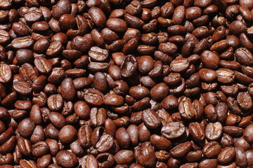 Top view of brown coffee beans, Roasted coffee beans background, Texture freshly roasted coffee beans. - 592229192