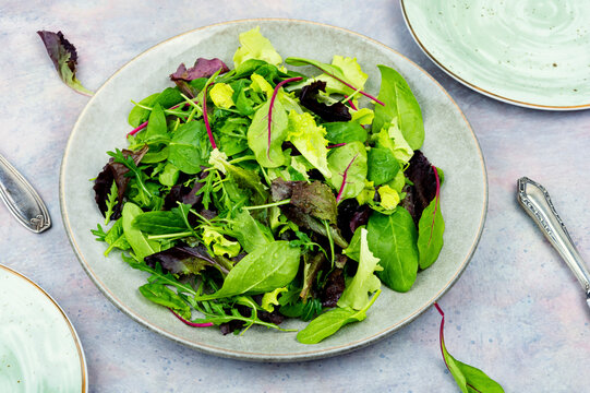 Fresh green salad, lettuce