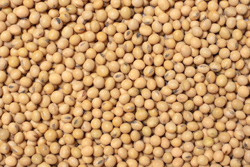 Soy bean (soybean) seeds texture background, top view, flat lay.