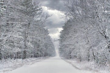 Aerial view of snow covered road surrounded by frozen trees