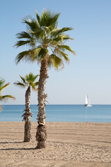 Palm Trees and Yacht, El Campello Beach, Alicante; Spain