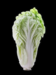 Closeup of a Nappa cabbage on a black background