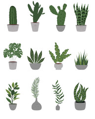Collection of houseplants in flowerpots and vases.