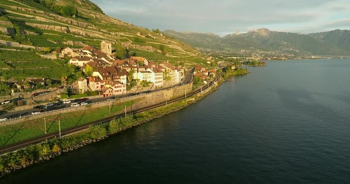 aerial view of the terraced vineyards in switzerland