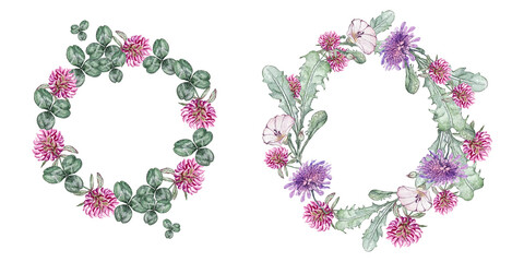 Set of summer wreath of wild flowers. Bindweed, clover,  korostavnik and dandelion leaves. Watercolor illustrations.