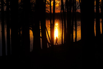 Person standing near the lake in the light of sunset surrounded by trees. Negative space photo