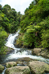 Fototapeta na wymiar Beautiful cascade waterfall hidden in a forest. Adventure and travel concept. Nature background. Kaiate Falls, Bay of Plenty, New Zealand