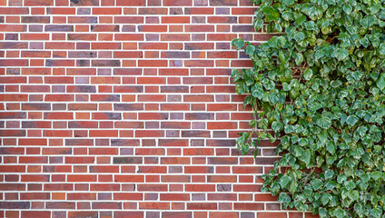 dark texture of old red bricks wall background