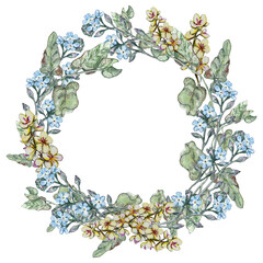 Summer wreath of wild flowers. Forget me not, mullein and bindweed leaves. Watercolor illustrations.