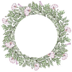 Summer wreath of wild flowers. Bindweed and carved leaves. Watercolor illustrations.