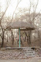 beach in the morning