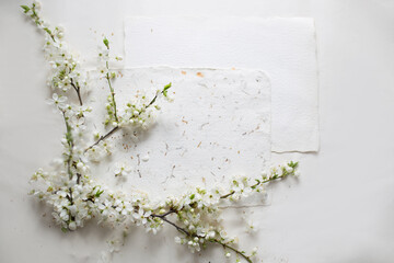 Białe tło z kwiatami wiosennymi, kwitnące gałązki i papier