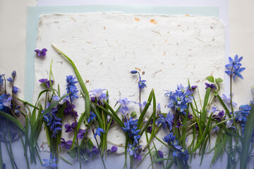 Tło z wiosennymi kwiatami w odcieniach błękitu i fioletu. Kwiaty na papierze czerpanym.
