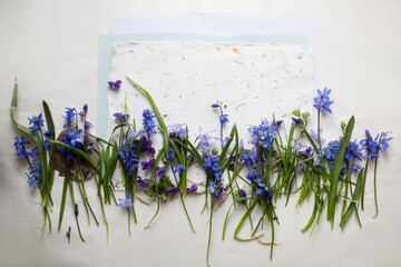 Tło z wiosennymi kwiatami w odcieniach błękitu i fioletu. Kwiaty na papierze czerpanym. - obrazy, fototapety, plakaty