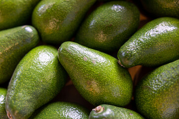 A big pile of whole ripe avocados. Close up