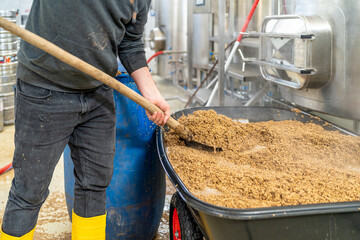 disposal of residual malt after brewing beer in the brewery