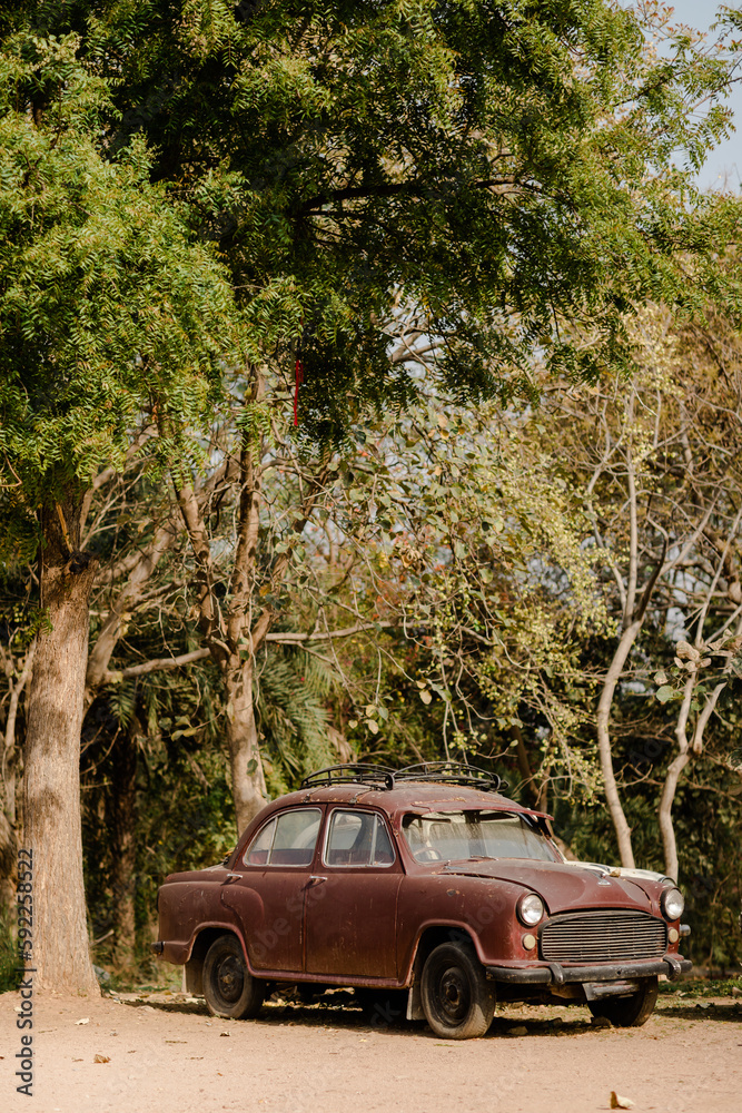 Wall mural car on the road