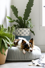 Brown and white dog laying on cushion next to potted plant. Generative AI.