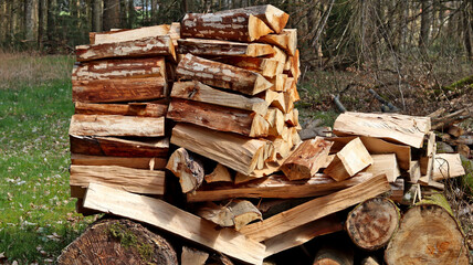 Gespaltetes Holz im Wald auf Baumstämmen