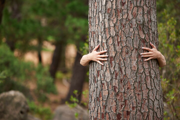 Nature, environment and person with a tree hug for sustainability, planet love and ecology. Forest, earth day and hands hugging trees to show care for woods, deforestation and climate change