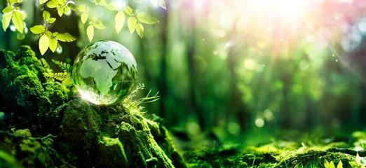 Poster Earth Day  - Green Globe In Forest With Moss And Defocused Abstract Sunlight - Environment Concept © Romolo Tavani