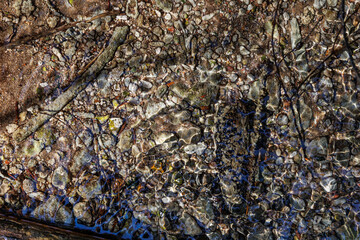 Forest spring water texture and little rocks underwater