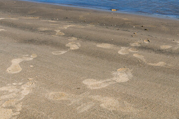 The beach on the river bank. Footprints were imprinted on the wet sand of the beach near the water. Sand on the beach. Summer holidays on the river bank.